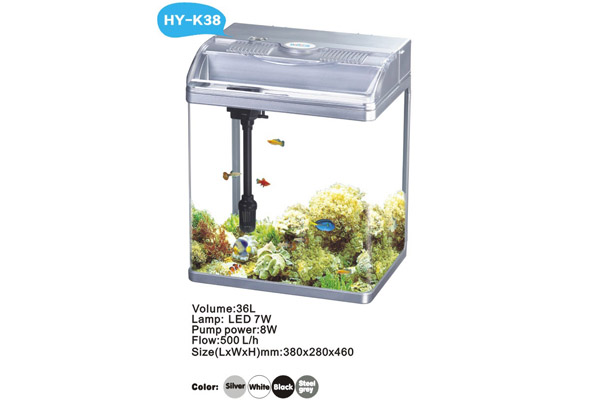 HY-K38